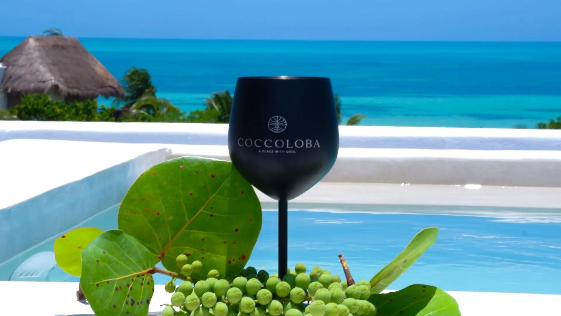 Coccoloba Apartment Isla Holbox