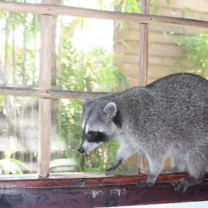 Apartment Close To The Town Utopia, Isla Holbox